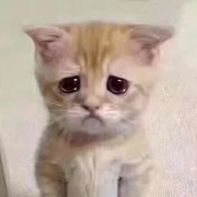 放开那个妹子，让我来