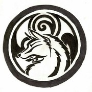 丛林狼s6