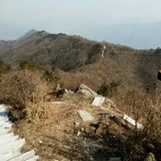 只关注室外主播