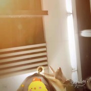 难瘦💍