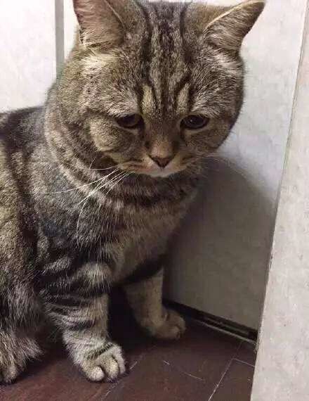 ?﹏菓寶゜微光向暖?的主播照片