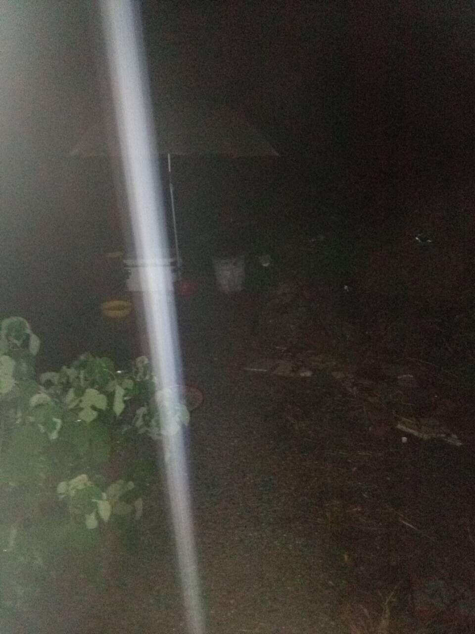 黄瓜茄子玉米萝卜冬瓜的主播照片