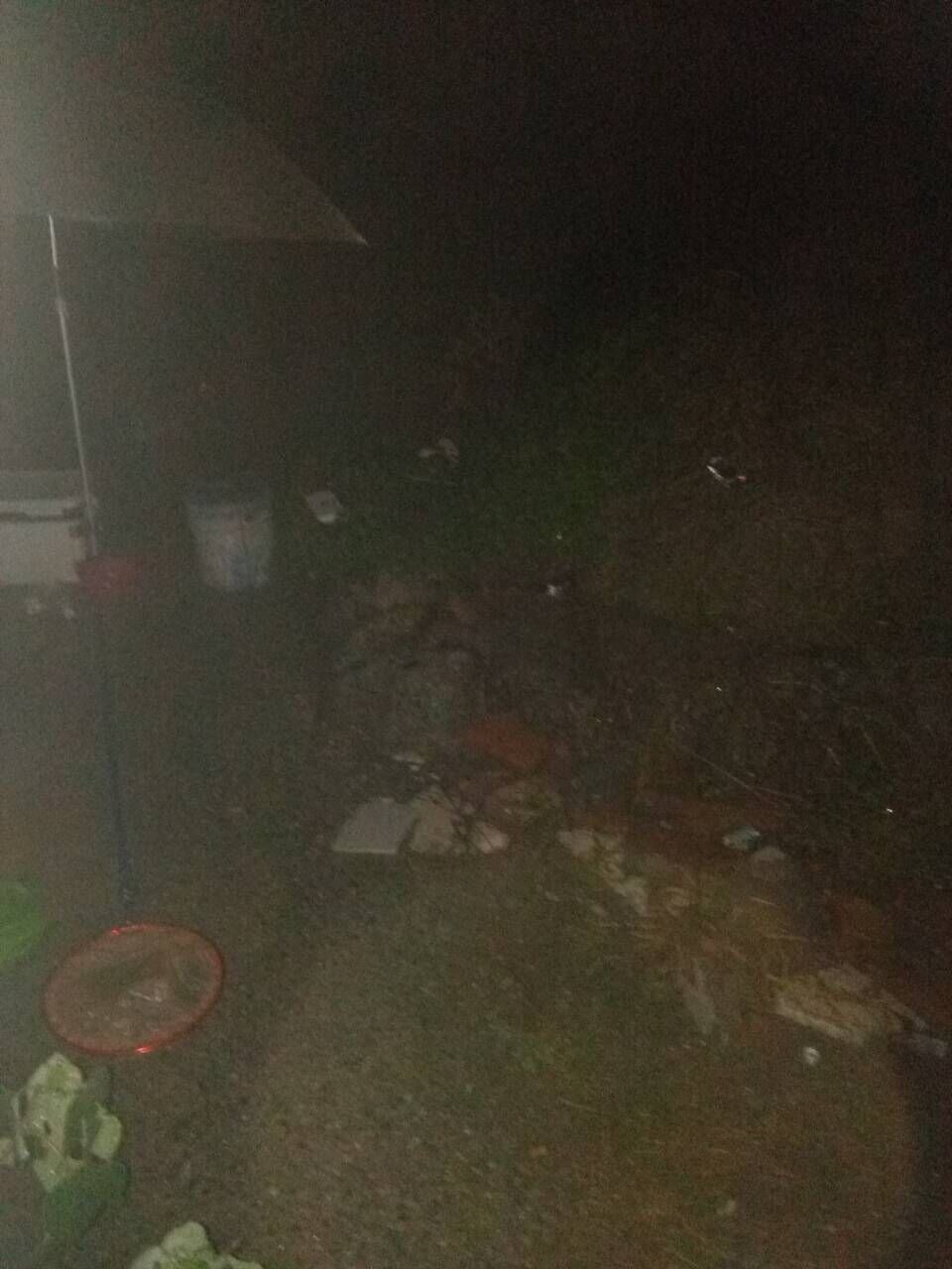 黄瓜茄子玉米萝卜冬瓜的主播照片