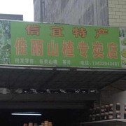 小丽1q