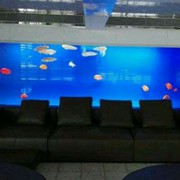 cb0001海报