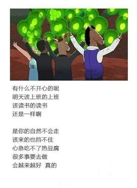 是你的小飞猪主播照片