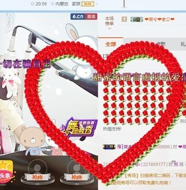 一只雁~主播照片