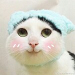 微信_6977828