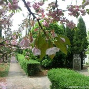 漂逸雨