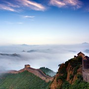 孺子牛cf海报