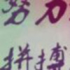 秦海洋c海报