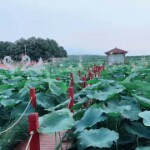 我想中奖@@海报