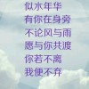 痴情伴一生海报