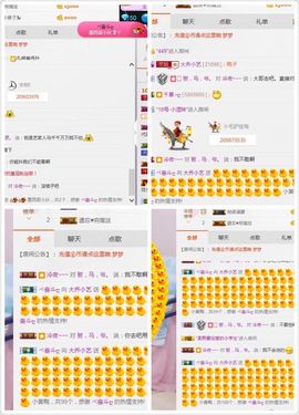 小艺停播主播照片
