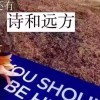 诗.与远方