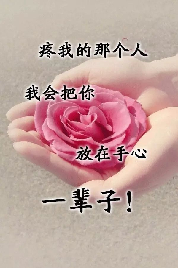 烟火乂沫言彡尐的主播照片