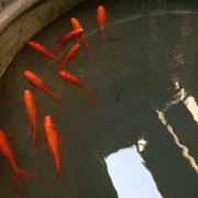 昵称违规，请重新修改