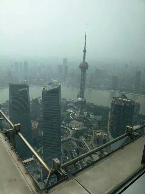 james803的主播照片