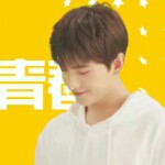 傻瓜，vm海报
