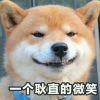 1bcjkloy!*的头像