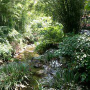 lin_shela主播照片