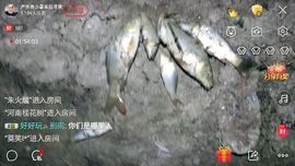 哈哈哈我去了主播照片