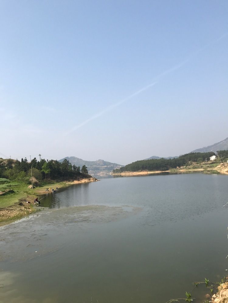淡淡，原來是個(gè)漢子的主播照片