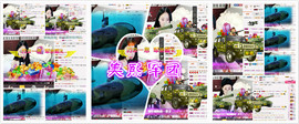 雷诺/主播照片