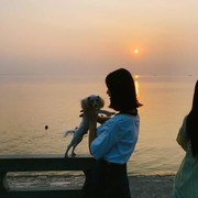 阿真yo海报