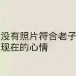 丶至尊🐵丶宝