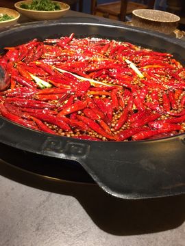 小狗啊主播照片