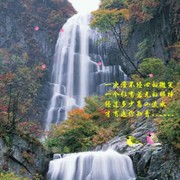 咖啡～咖啡