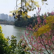 不忘初心、只如初见