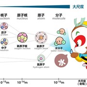 顶夸克