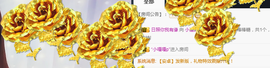小逗比🌟宝丫头💦主播照片