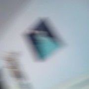 猪八戒他老姨-老姨夫