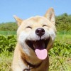 Mr.大喜