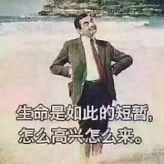 人生!vf