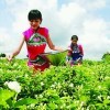 DONGXI9