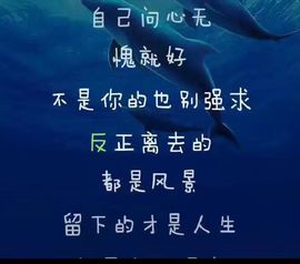 ╰伊✯你的小可爱❤主播照片