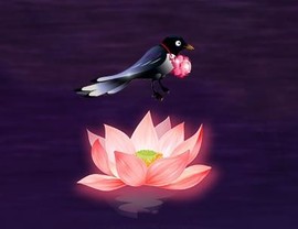 漩︽╯❤☆❤╰︽颩主播照片