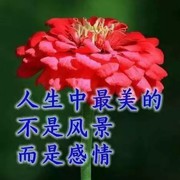 花花世界花花心*