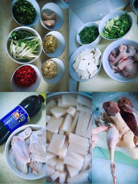 小狗啊主播照片