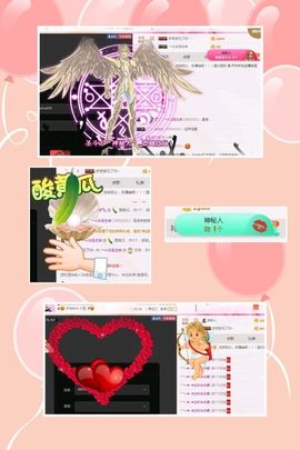海鸽晚上播主播照片