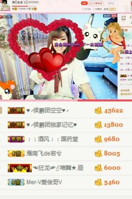 一只雁~主播照片