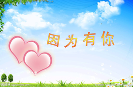 58426685主播照片
