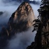 桃花依旧k