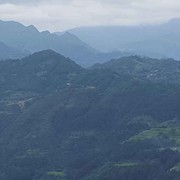心树🌳海报