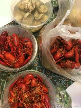 愿意❤为你主播照片