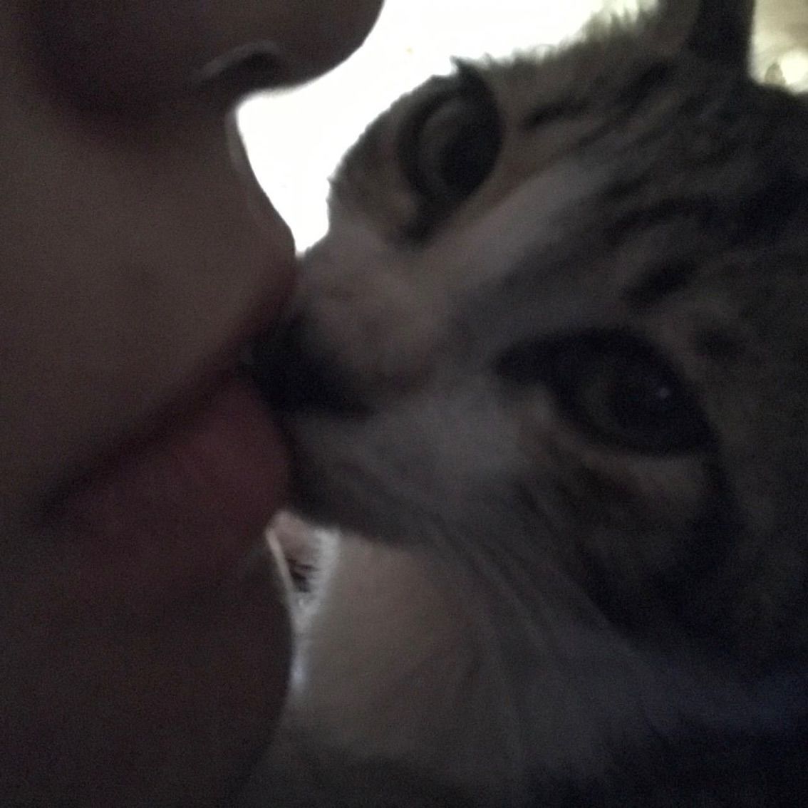 王万万💕的主播照片